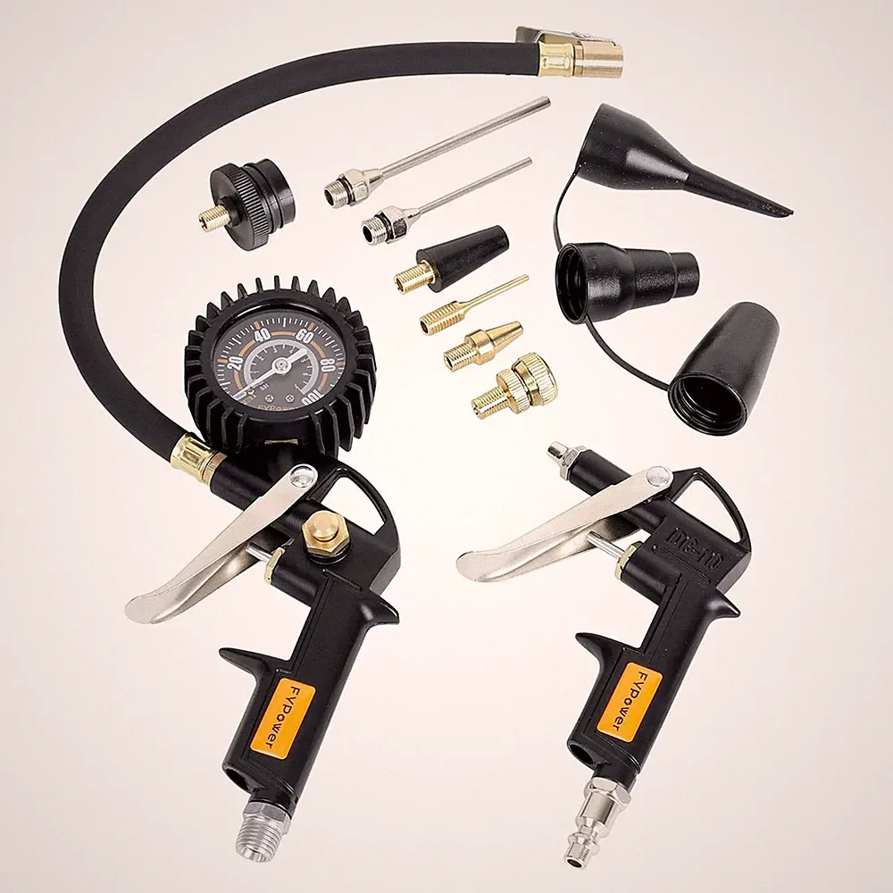 10 Pieces Heavy Duty Air Compressor Accessory Kit, 100PSI Tire Inflator with Gau